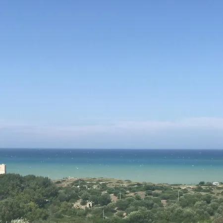 Gli Stingi 3*